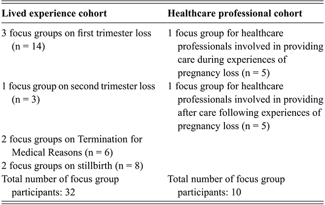 A table showing a breakdown of lived experience participant numbers in focus groups on different types of loss, and healthcare professional participant numbers in focus groups. See long description.